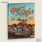 B2B - Puzzle Canvas - 366 Piece