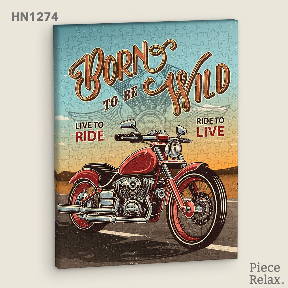 B2B - Puzzle Canvas - 366 Piece