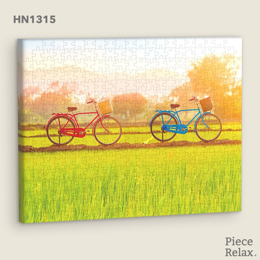 B2B - Puzzle Canvas - 366 Piece