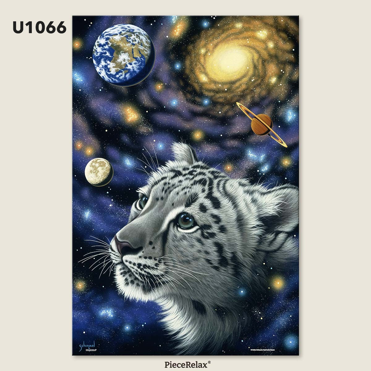 B2B - PieceClicks - 504 Piece