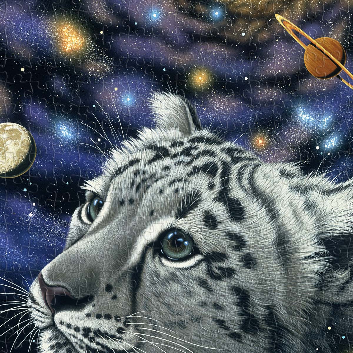 We are all part of the universe — ever-flowing, interconnected, and growing together.