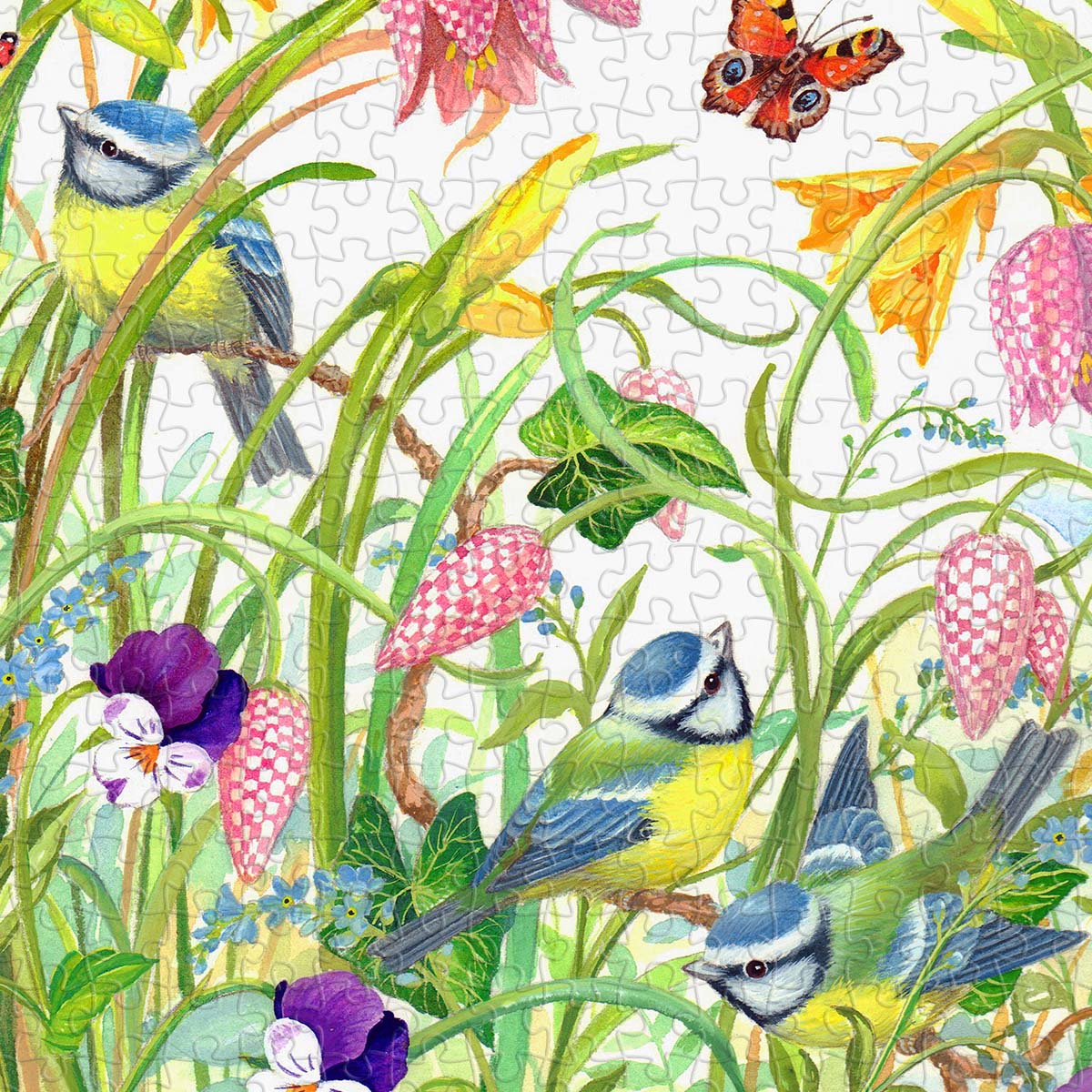 The earth is waking up — join the birds and blossoms in celebrating spring.