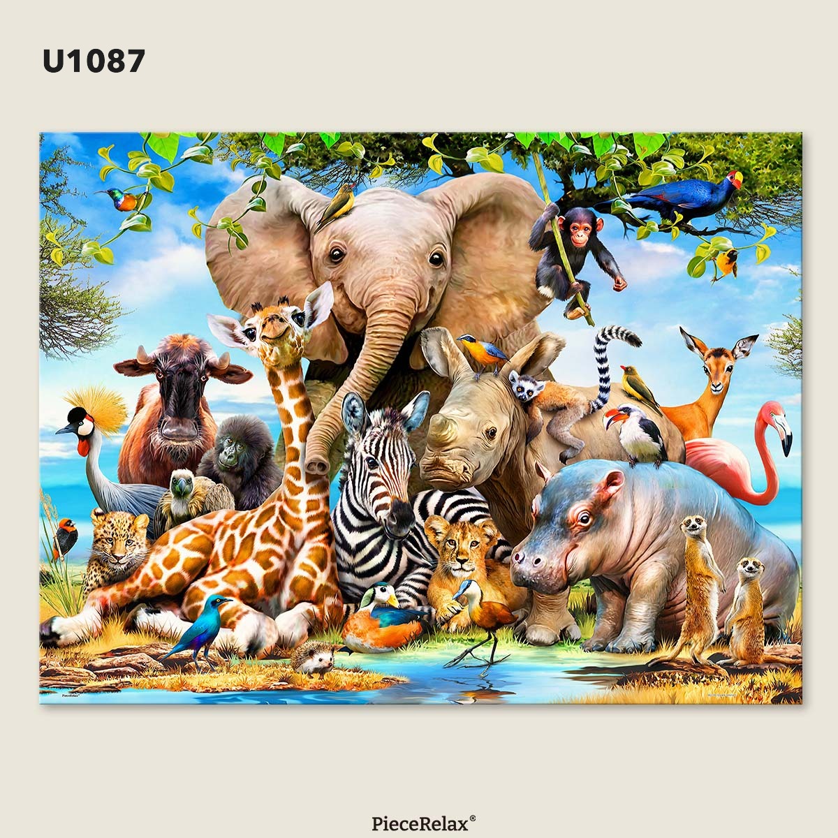 B2B - PieceClicks - 1008 Piece