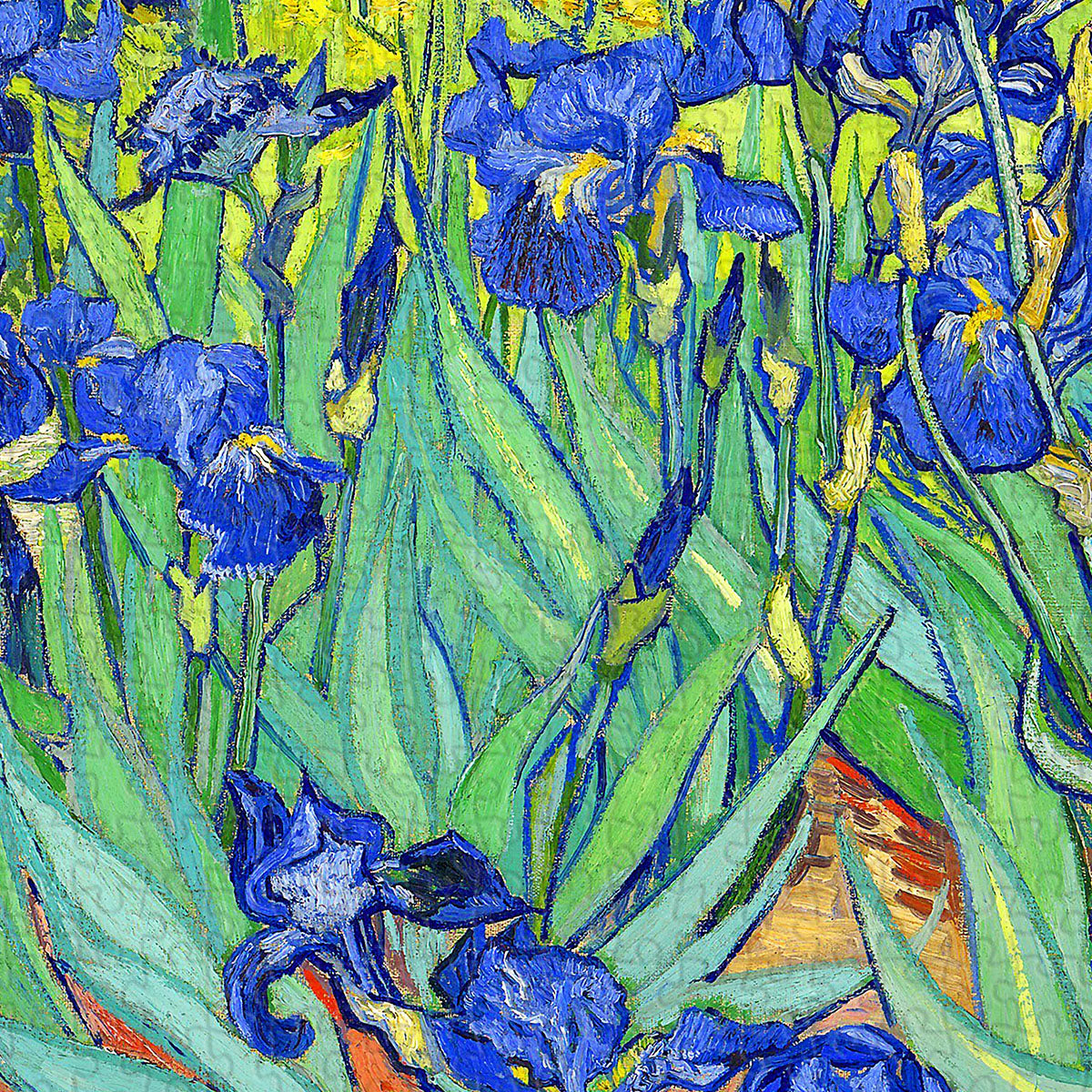 Immerse yourself in the tranquil beauty of Van Gogh's Irises Puzzle, inspired by the artist's famous 1889 masterpiece. With every piece you place, it's as if you can almost smell the gentle fragrance of irises.