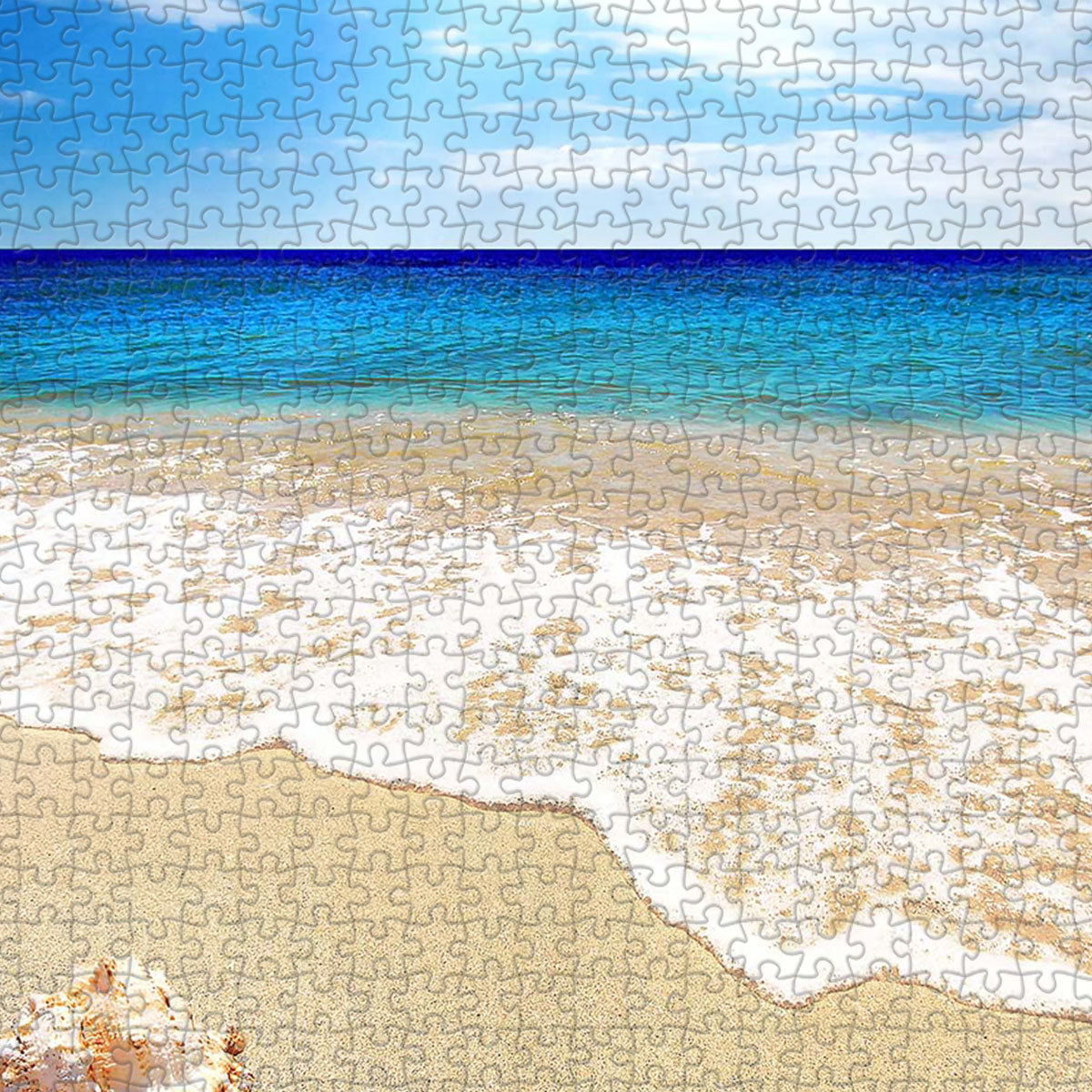 Hold a shell close, and the ocean speaks — do you hear its gentle song?