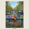 Explore the Netherlands on two wheels — classic bikes, blooming canals, and timeless city charm.