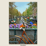 Explore the Netherlands on two wheels — classic bikes, blooming canals, and timeless city charm.