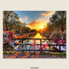 Bicycles, bridges, and blooming streets — discover the everyday beauty of Holland’s cityscape.