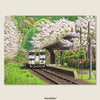 As cherry blossoms fall like snow in spring, the railway comes alive for the Sakura Festival.