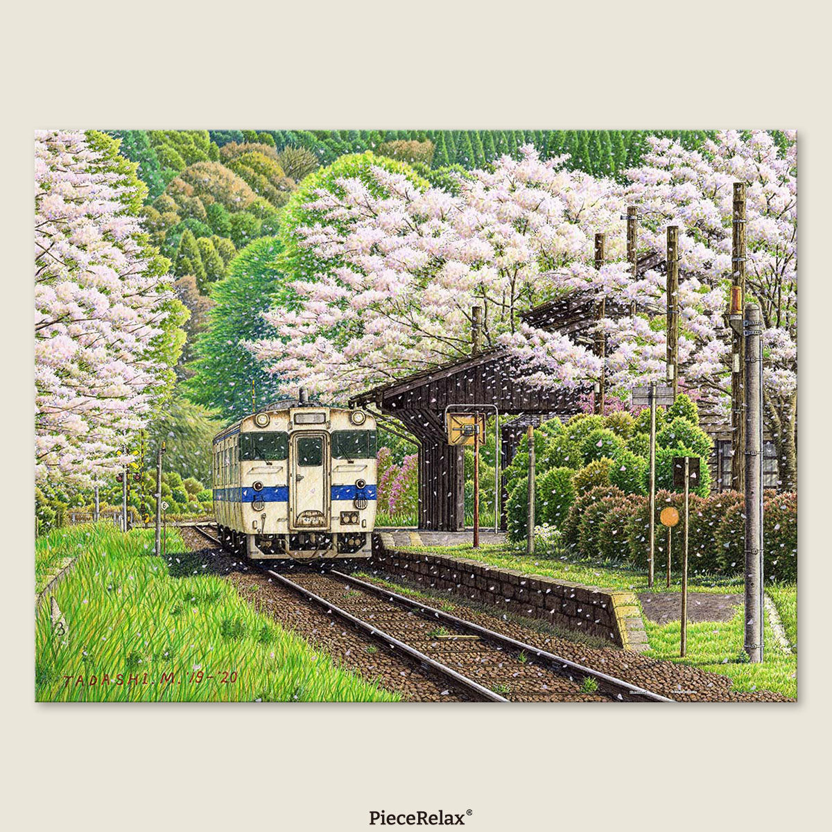 As cherry blossoms fall like snow in spring, the railway comes alive for the Sakura Festival.