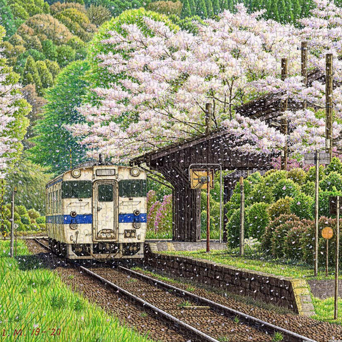 As cherry blossoms fall like snow in spring, the railway comes alive for the Sakura Festival.